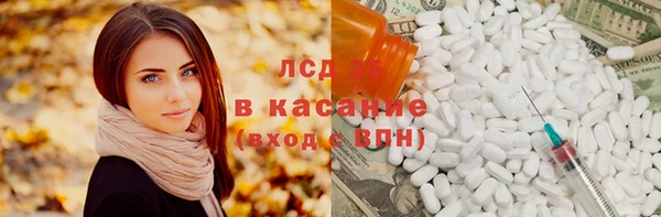 дживик Няндома