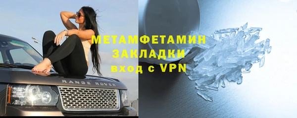 дживик Няндома