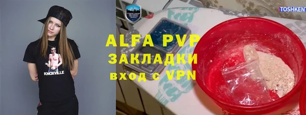 дживик Няндома