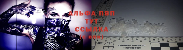 дживик Няндома