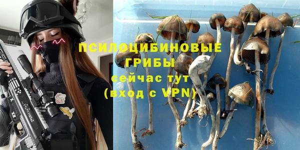 a pvp Нязепетровск