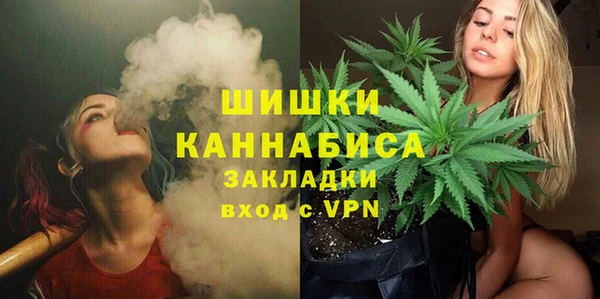 не бодяженный Новозыбков