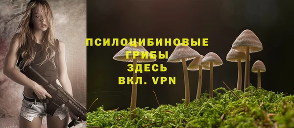 apvp Остров