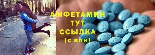 дживик Няндома