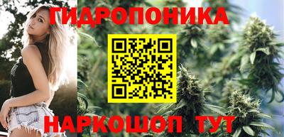 трава Дубна