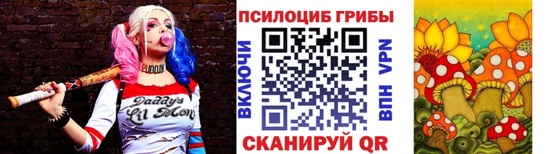 Псилоцибиновые грибы Psilocybe  где купить наркоту  Карталы 