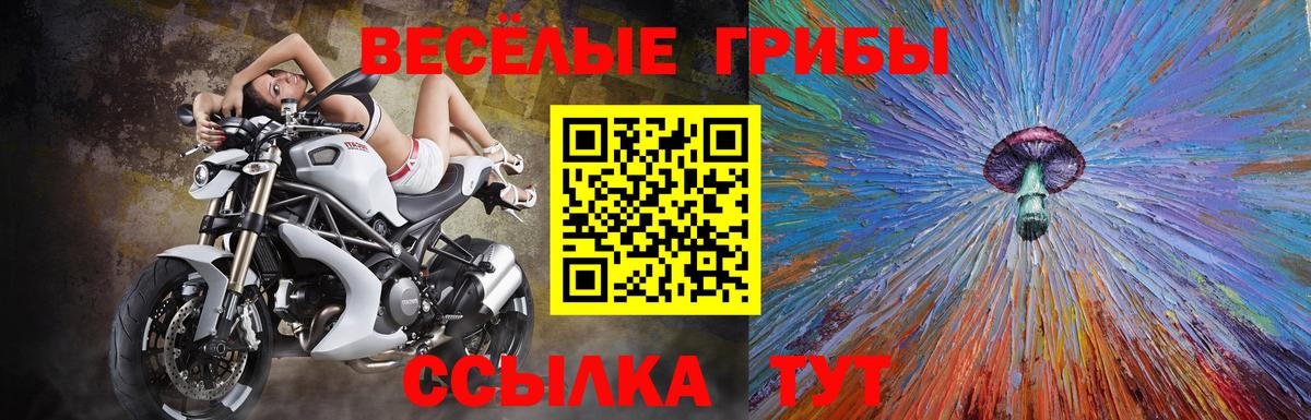 Карталы  Псилоцибиновые грибы мухоморы  Вход с VPN 